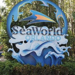 2 Tickets To Sea World For Only 129$
