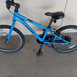 Trek Kids Bike