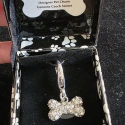 Dog Charm, Perro, Collar,