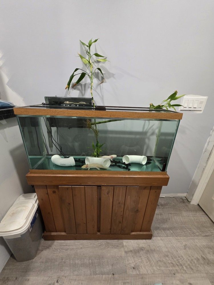 30 Gal Tank