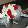 Creative Designs