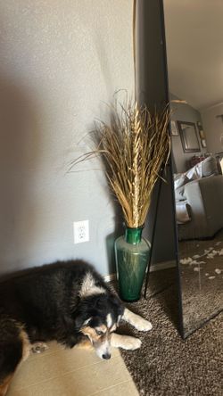 Vase decor