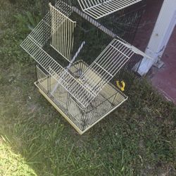 Bird Cage