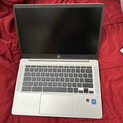 HP Chromebook(Gray)