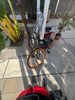 Fixie bike