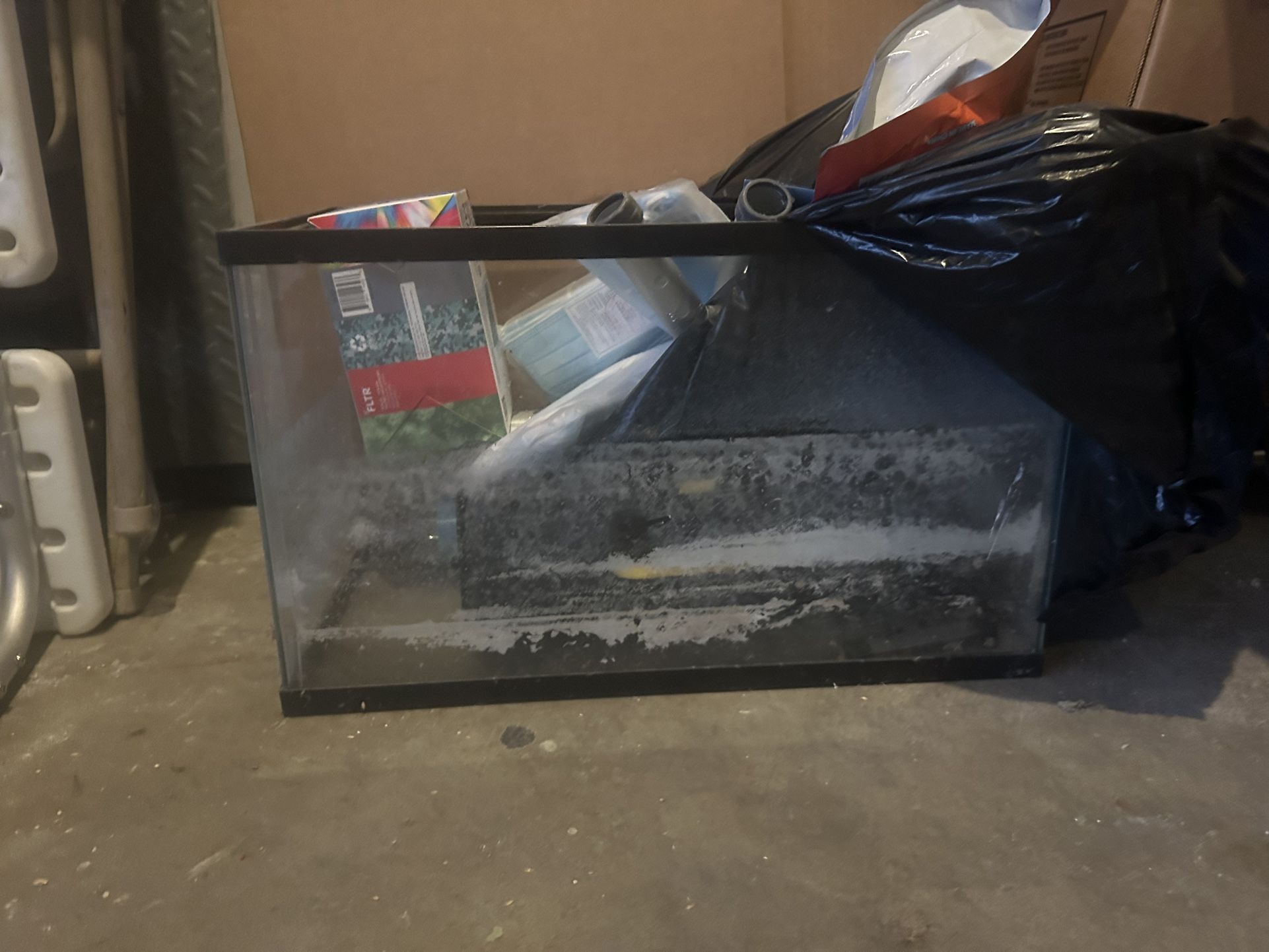 10 gallon fish tank