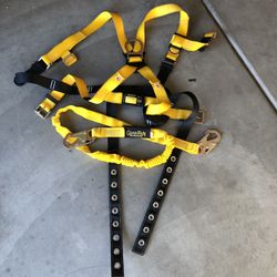 Fall Harness 