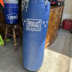 Everlast Heavy Bag & Hanging Chain Punching Workout 