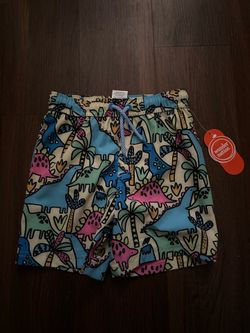 4t swim trunks