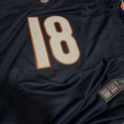 Bears Size XL