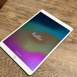 Apple iPad Pro 10.5 Wi-Fi Only 64 GB Silver with Otterbox Case