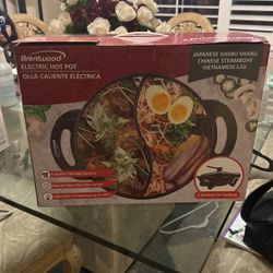 electric hot pot brentwood japanese shabu shabu