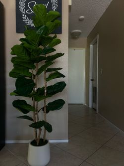 Artificial Fiddle Leaf Fig Plant with white pot