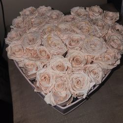 Forever Roses