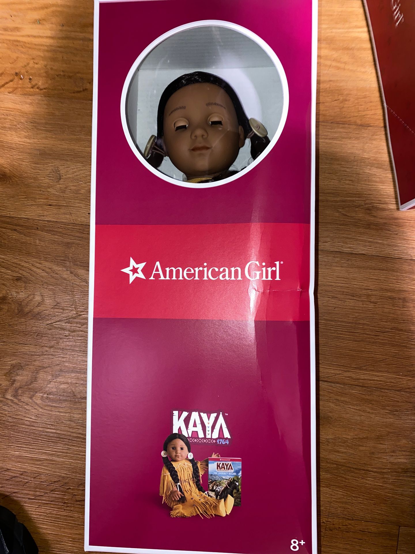 Kaya American Girl Doll LAST ONE !!!!!