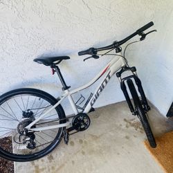 Giant Mountain Bike 