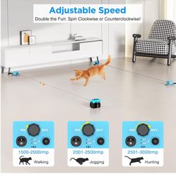 Interactive Cat Toy for Indoor Cats, DIY Cat Mouse Hunting Treadmill Keep Bored Kitten Puppy Entertained to Chase, Feather Toy to Exercise-(no remote)
