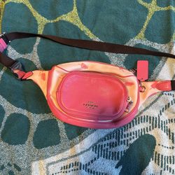 Coach Ice cream Fanny Pack