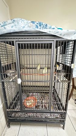Cage with everything