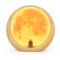 Anniversary Wedding Gift Moon Light 