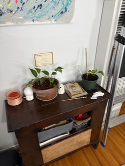 Pots and plants for sale