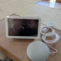 Google Nest Hub and Nest Mini Speaker 