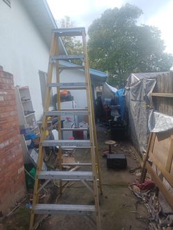 Warner 8ft Ladder