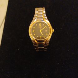 Citizen Silver and Goldtone 