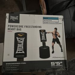 Everlast Powercore Freestanding Heavy Bag