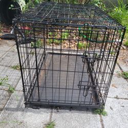 dog crate kennel