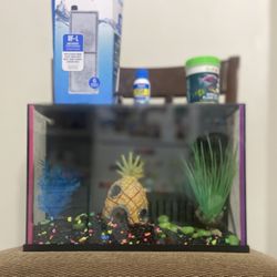 Fish Tank