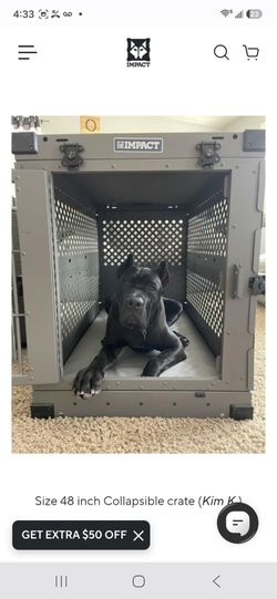 Kennel corso