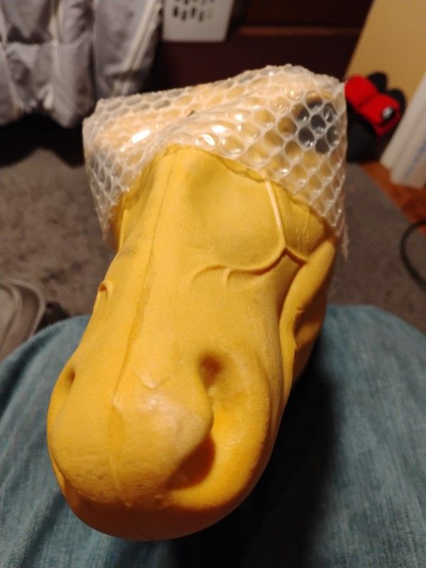 Deer Head Mount 4 Taxidermy