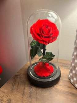 Eternal rose - Beauty and the Beast