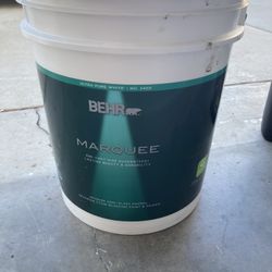 Brand New Paint Never Opened 