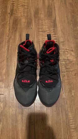 LeBron shoe