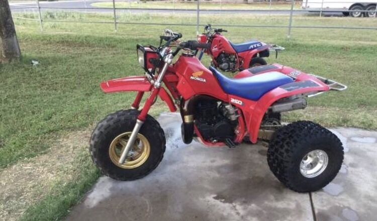 1984 Honda ATC 250R