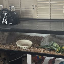 Complete Reptile Habitat