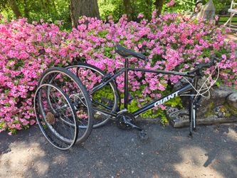 FREE Bicycle Giant Escape parts or restore