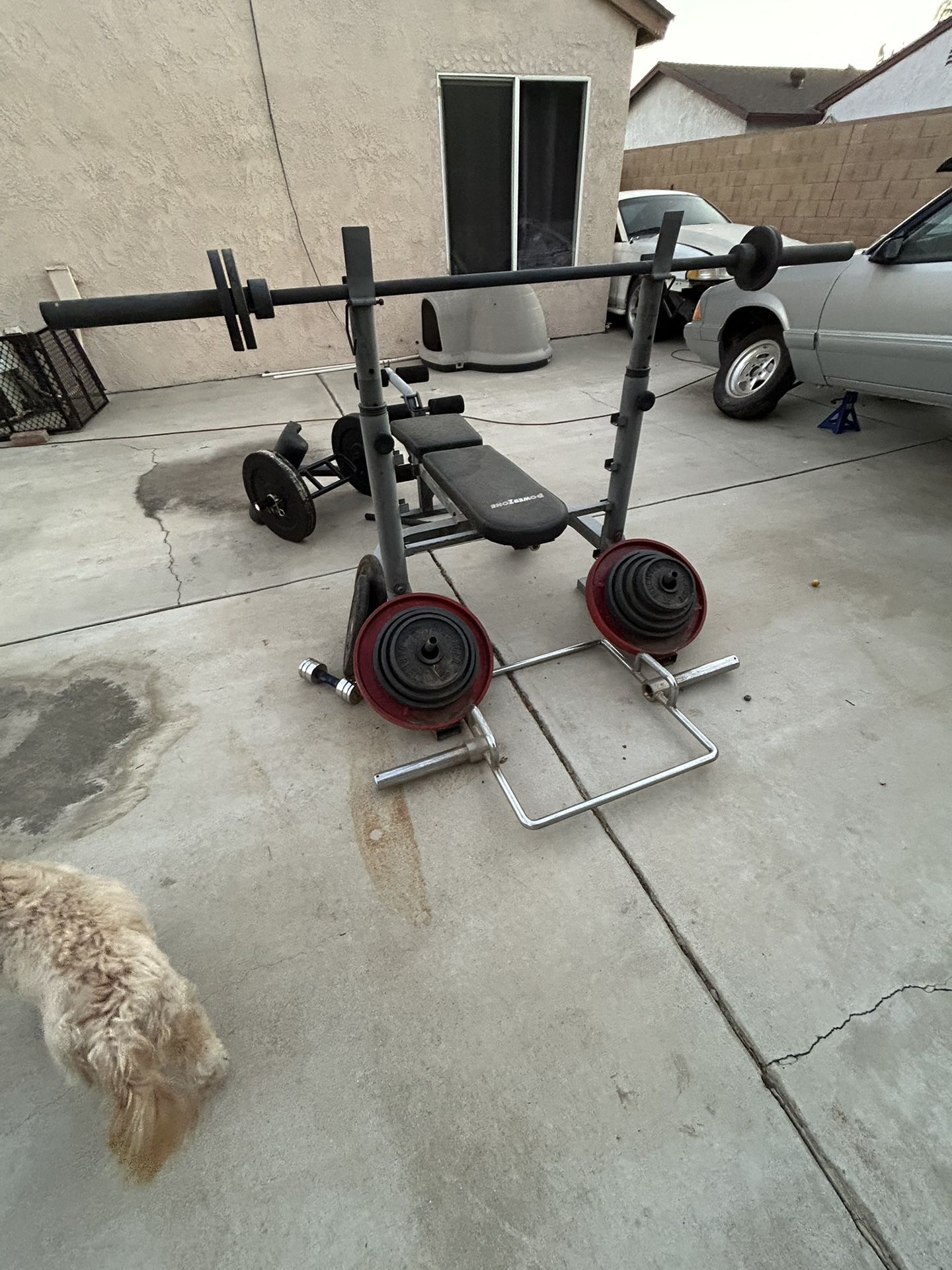 Workout bench with weights 