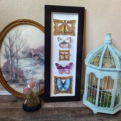 Mixed Media Butterfly And Moth Framed Picture
