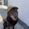 A Velasco