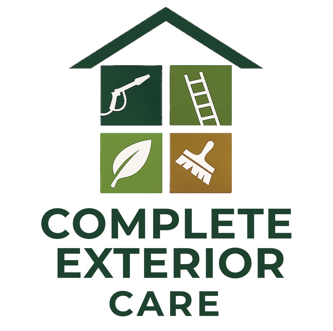 G U T T E R/ R O O F    C L E A N I N G