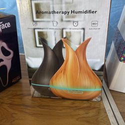 Humidifier And Scentsy