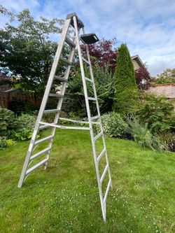 Werner Aluminum Ladder 10 ft
