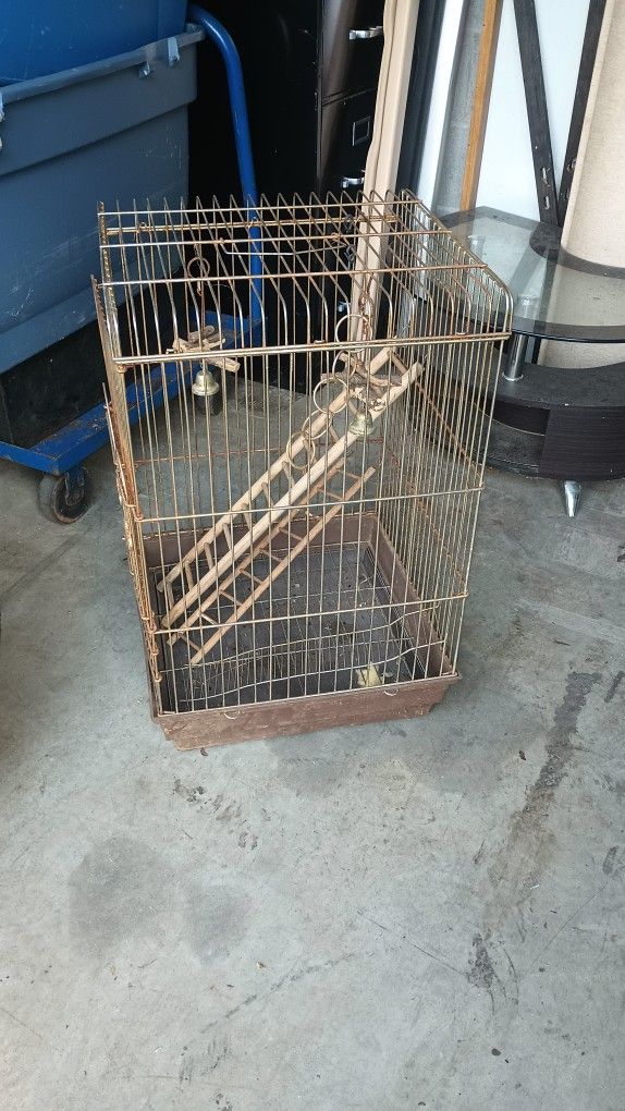 Nice Cage