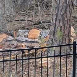 Free Firewood
