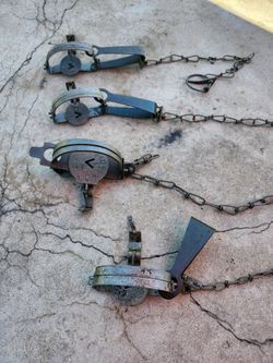 Vintage animal traps