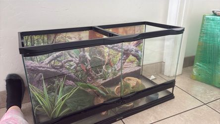 30 gallon tank terrarium