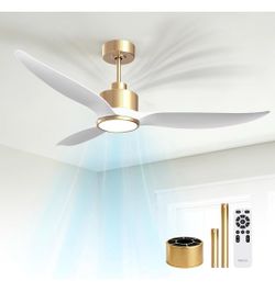 Brand New 52 Inch Ceiling Fan with Light and Filter fot Pet Home, 3 Blades Quiet DC Motor Fan with Remote Control